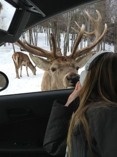 a woman is looking at a deer in the back seat of a car