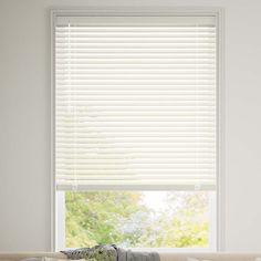 a living room with white walls and blinds on the windowsill, in front of a couch