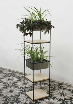 three tiered plant stand with plants in it