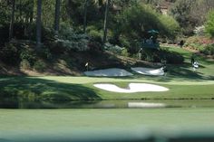 people playing golf on a green course with trees in the back ground and water behind them