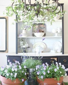 three potted plants sitting on top of a table in front of a china cabinet