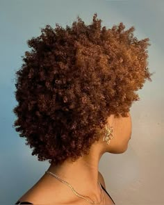 Short 4c Wash And Go, Afro Aesthetic 70s, 4c Hair Aesthetic, Type 4b Hair, 4c Fro, 4b Afro, 4c Afro, Hair Like Wool, Short Dyed Hair