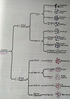 an open book with some diagrams on the page and words written in red, black and white