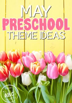 a vase filled with pink and white tulips next to a yellow wall that says may preschool theme ideas