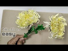 two yellow flowers are being held up by someone's hand on a piece of paper