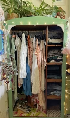 a closet filled with lots of clothes and plants