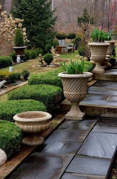 some very nice looking plants and bushes in the middle of a yard with stone steps