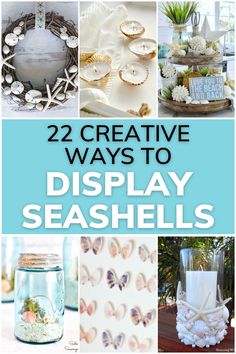 22 Creative ways to display seashells Sand And Shells From Vacation Ideas, How To Display Shells Ideas, How To Showcase Seashells, Shell Arrangements Seashells, How To Display Sand And Shells, Oyster Shell Picture Frame Diy, How To Frame Shells, Seashell Decoration Ideas