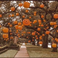 many pumpkins are hanging from the trees in this park, with faces carved into them