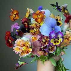 a person holding a bouquet of flowers in their hand