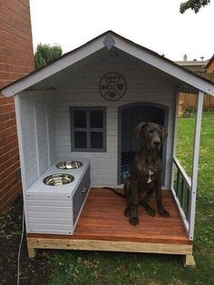 (paid link) These dog houses are so fancy and fun that your dog may not want to come back inside the house. Dog Crates