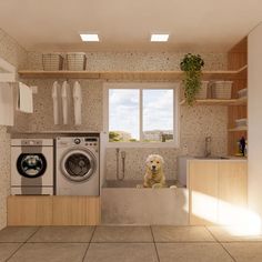 a dog sitting in the middle of a washer and dryer room with open shelving