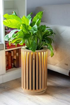 a plant in a wooden container on the floor next to a couch and bookshelf