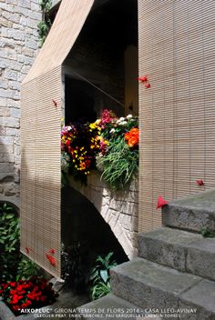 flowers are growing in the window boxes on the side of a building's wall