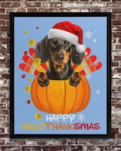 a dachshund dog wearing a santa hat sitting on top of a pumpkin