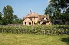 an old farm house surrounded by vines and trees