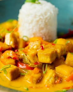 a close up of a plate of food with rice