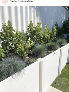 a white fence with plants growing in it