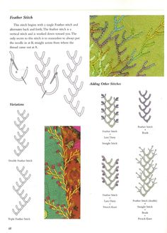 an image of different types of seaweed on the page, with instructions for how to sew them