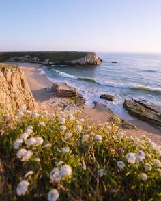 the beach is lined with white flowers and rocky cliffs near the water's edge