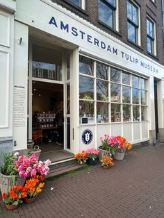 an outside view of a flower shop with flowers in the window