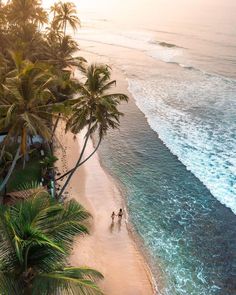 two people are walking on the beach next to the ocean and palm trees in the foreground