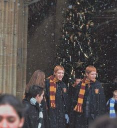 some people are standing in front of a christmas tree with harry potter scarves on