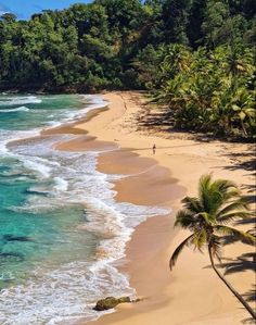 the beach is lined with palm trees and clear water