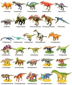 the different types of dinosaurs are shown in this poster, which shows them all different colors and sizes