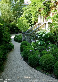 a garden with lots of bushes and flowers