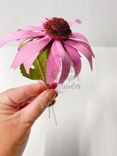 a person holding a pink flower in their left hand with the petals still attached to it