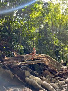 a young boy sitting on top of a fallen tree