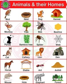 an animal and their homes poster with animals, plants, and other things on it