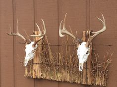 two deer heads mounted to the side of a building with grass growing on it's sides