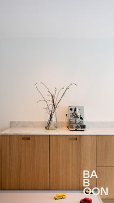 a vase with some flowers in it sitting on a counter