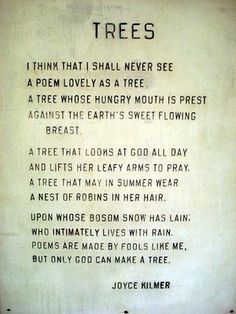 there is a poem written on the wall in front of some words that say trees