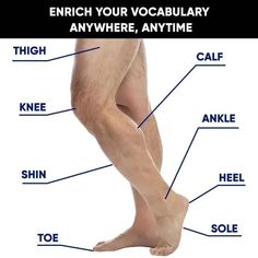 an image of a man's legs with words describing the different parts of his body