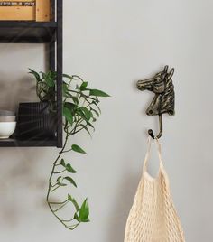 a wall mounted shelf with a plant and a bag hanging from it's side