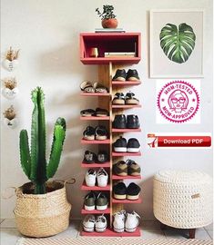 the shoe rack is next to a cactus and potted plant in front of it