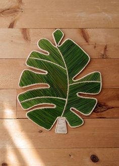 a large green leaf on top of a wooden floor