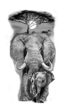 an elephant and its baby are shown in black and white