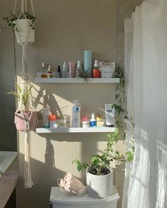 a white toilet sitting in a bathroom next to a plant on top of a shelf