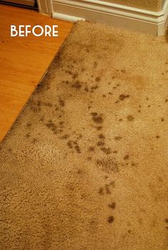 the before and after pictures of carpet cleaning in an apartment with brown stains on it