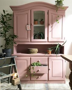 a pink cabinet with plants in it