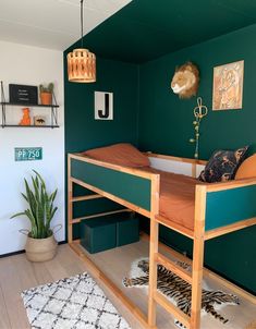 a bunk bed sitting in the corner of a room next to a rug and potted plant