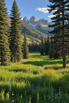 🌲 Explore Evanston, Wyoming: Discover Nature, Culture, and Entertainment 🌟 Evanston Wyoming, Montana Aesthetic, Montana Nature, God Nature, Usa Nature, World Most Beautiful Place, Exploring Nature