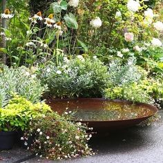 a garden filled with lots of different types of flowers and plants next to each other