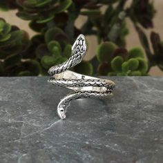 Tight Squeeze Silver Snake Wrap Band Ring - Spiral Circle Evil Eye Ring Gold, Silver Snake Ring, Clothes Wishlist, Snake Ring Silver, Evil Eye Ring, Moon Ring, Hand Ring, Snake Ring, Leaf Ring