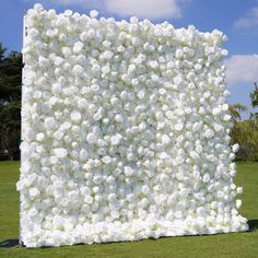 a large white flowered wall in the middle of a field