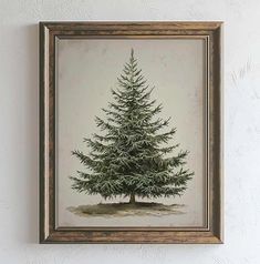 a painting of a pine tree hanging on the wall